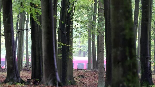 Copenhagen, Denmark The Copenhagen S-train commuter train whizzes through a forest. 