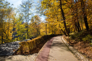 Fototapeta premium Alley from the Sovata resort - Romania in autumn