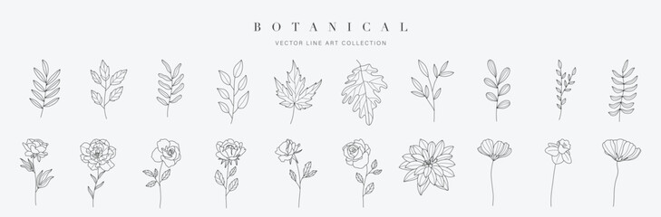 Set botanical hand drawn vector element. Collection of foliage, leaf branch, floral, flowers, roses, maple in line art. Minimal style blossom illustration design for logo, wedding, invitation, decor.