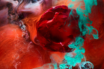 Abstract red background with flowers and contrasting colors in water. Backdrop for perfume,...