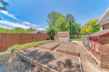 Chicken coop and grow beds at the backyard of a home on a sunny day - obrazy, fototapety, plakaty
