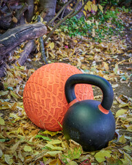 Fototapeta na wymiar heavy iron kettlebell and slam ball in a backyard, fall scenery