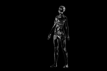 Fototapeta na wymiar Three dimensional model. Transparent figure of a naked bald woman on a black background. 