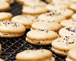 fresh baked macaroons on a on cooling tray