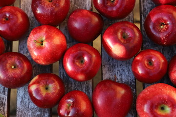 rote Äpfel auf Holztisch