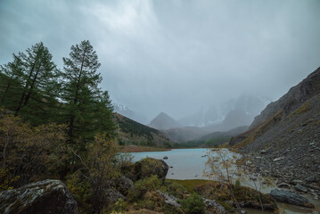 Fototapeta na wymiar Gloomy view from forest hill with autumn flora to mountain lake and high snowy mountains under gray cloudy sky. Alpine lake against pyramid shaped mountain silhouette during rain. Fading autumn colors