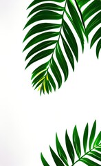 Fototapeta premium Green Leaf Natural Background