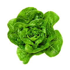 Fresh and green Romaine lettuce heart, from above. Also cos lettuce, a tall lettuce head of sturdy...