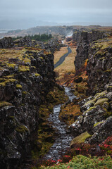 Fototapeta na wymiar Thingvellir - Icelandic national park - Iceland, Golden Circle