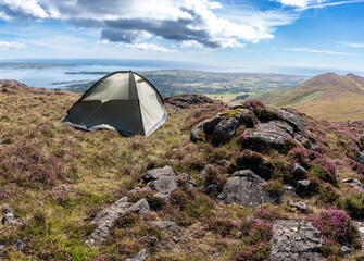 Small tent on the top of mountain during summer time. Epic view on the sea and fields.Rocks and pink plants in foreground Outdoor activity concept.