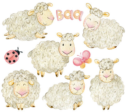 Set of watercolor sheeps.