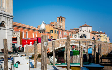 Fototapeta na wymiar Chioggia cityscape with narrow water canal Vena with moored multi colored boats - Venetian lagoon, Veneto region, northern Italy - october 30, 2021