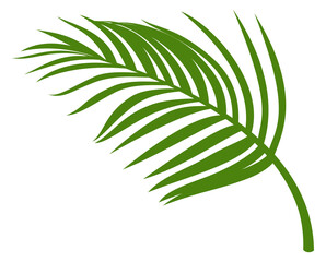 Jungle tree branch. Green foliage. Tropical forest plant