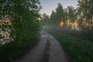 Fototapeta premium road in the fog