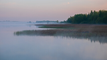 Fototapeta na wymiar fog over the river