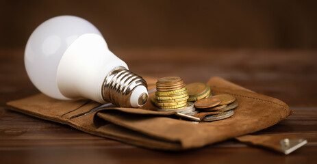 Light bulb with a wallet and euro money coins. Saving energy, save power or energy crisis banner.