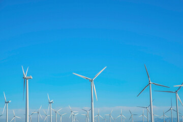 Panoramic view of windmills for generation of renewable electricity