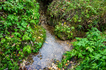 Two springs coming out of the ground and merging into one stream