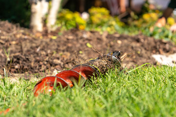 Lawn & Landscaping with Flowers and Plants