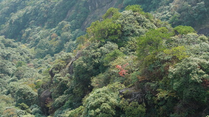 The beautiful mountains landscapes with the green forest and the erupted rock cliff as background in the countryside of the China