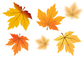 Autumn maple leaves PNG. on isolated transparent background. Abstract wallpaper design with maple leaves, line art.