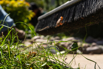 Lawn & Landscaping with Flowers and Plants