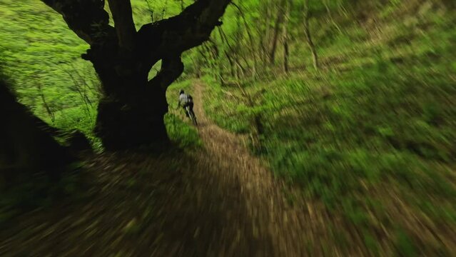 Aerial view extreme sports man downhill riding on mountain bike at summer green forest hilly terrain. FPV drone shot mtb speed movement activity cyclist competition adventure off road biking race 4k