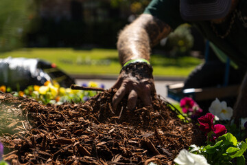 Lawn & Landscaping with Flowers and Plants