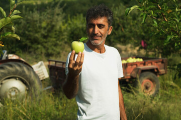 Fototapeta premium Portrait of a middle eastern holding an apple in his hand and posing in an apple orchard with a tractor on the background.