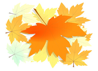 Fototapeta na wymiar Autumn foliage PNG. on isolated transparent background. Abstract wallpaper design with maple leaves, line art. Elegant botanical in fall season.