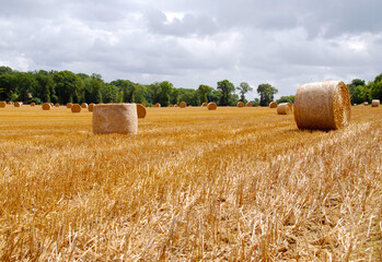 round haystacks on harvested field