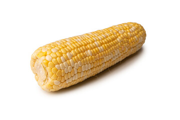 Yellow sweet corn isolated on white background. Copyspace.