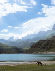 horse by lake. turquoise lake in mountains. Gizhgit, Caucasus