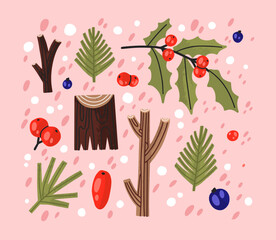 Winter berries and leaves. Vector hand drawn winter elements with leaf, fir, pine branches, berry. Christmas floral collection for invitations, greeting card, textile, fabric, posters.Botanical print