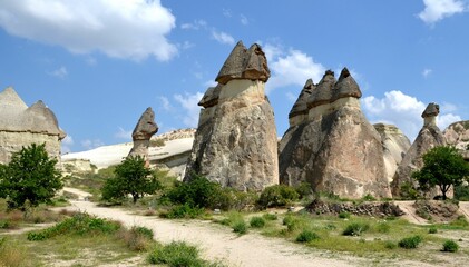 cappadocian landscape with plants and bizarre rock formation