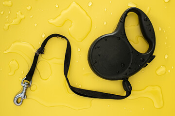 Black retractable leash for walking with a dog in the water on a yellow background. Concept of...