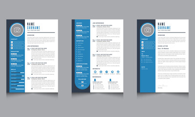 Infographic Professional Resume CV Template Layout Design