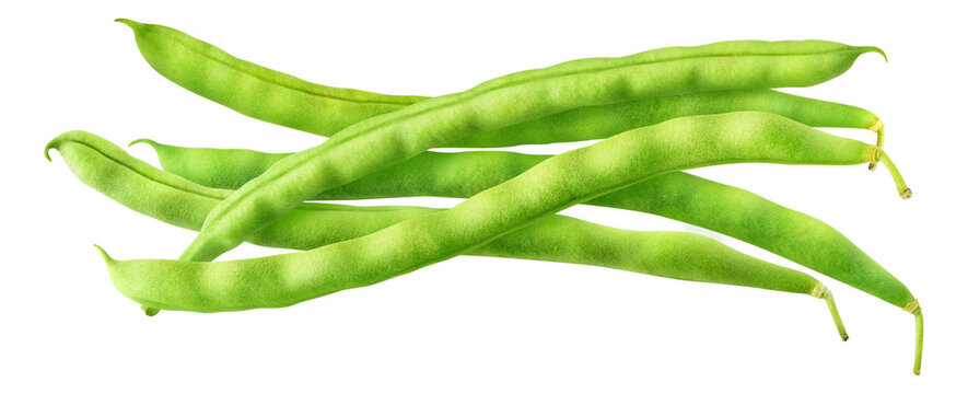 Small pile of raw green pods of haricot cut out, top view