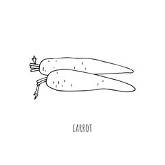 Mediterranean diet foods black and white sketch carrot isolated on white background 