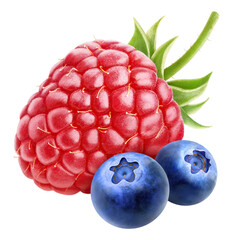 One fresh raspberry and two blueberries cut out