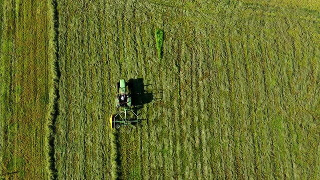 Luftvideo 4K Ansicht eines Bauern mit einem Traktor, der im Herbst gem&auml;htes Heu mit einem Heuwender wendet