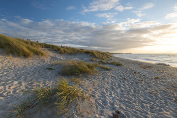Schöne Dünenlandschaft mit Strandhafer und feinem Sandstrand mit Blick Richtung Ahrenshoop.