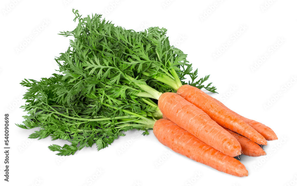 Wall mural carrot vegetable with leaves isolated on white background cutout