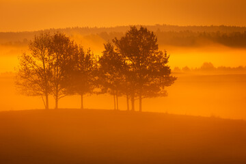 October landscape sunset - amazing misty foggy morning in autumn season, beautiful trees with colorful leaves, Poland, Europe, Podlasie Knyszyn Primeval Forest