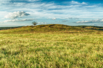 Landscape autumn field with colourful trees, autumn Poland, Europe and amazing blue sky with clouds, sunny day lonely tree on the hill	