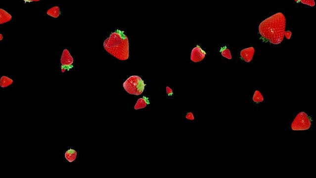 Isolated strawberries fall slowly. Red fruits as overlay with black background. 29,97 fps