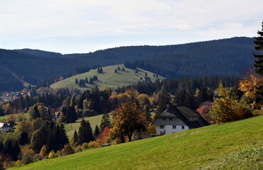 Fototapeta na wymiar Falkau im Schwarzwald im Herbst