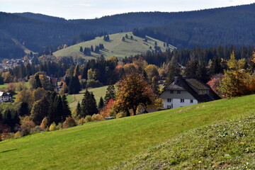 Falkau Schwarzwald Herbst