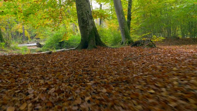 Herbst im Würmtal zwischen Gauting und Starnberg, Bayern, Deutschland