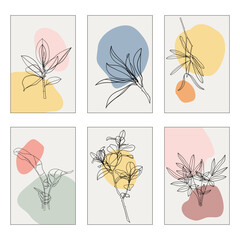 Botanical line plants vector illustration set. Minimal abstract hand drawing for interior design, wall decoration, postcard,  living room and office decor. Set of 6 pastel colorful pictures. 